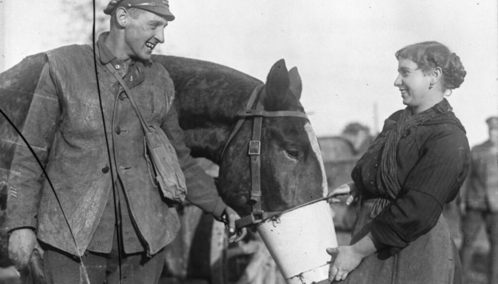 296_(Belgian) A Belgian girl gives Canadian Artillery horse a drink. November, 1918.